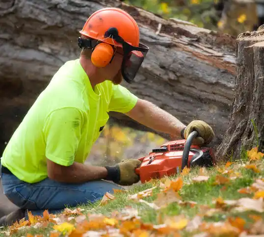 tree services Crown Heights